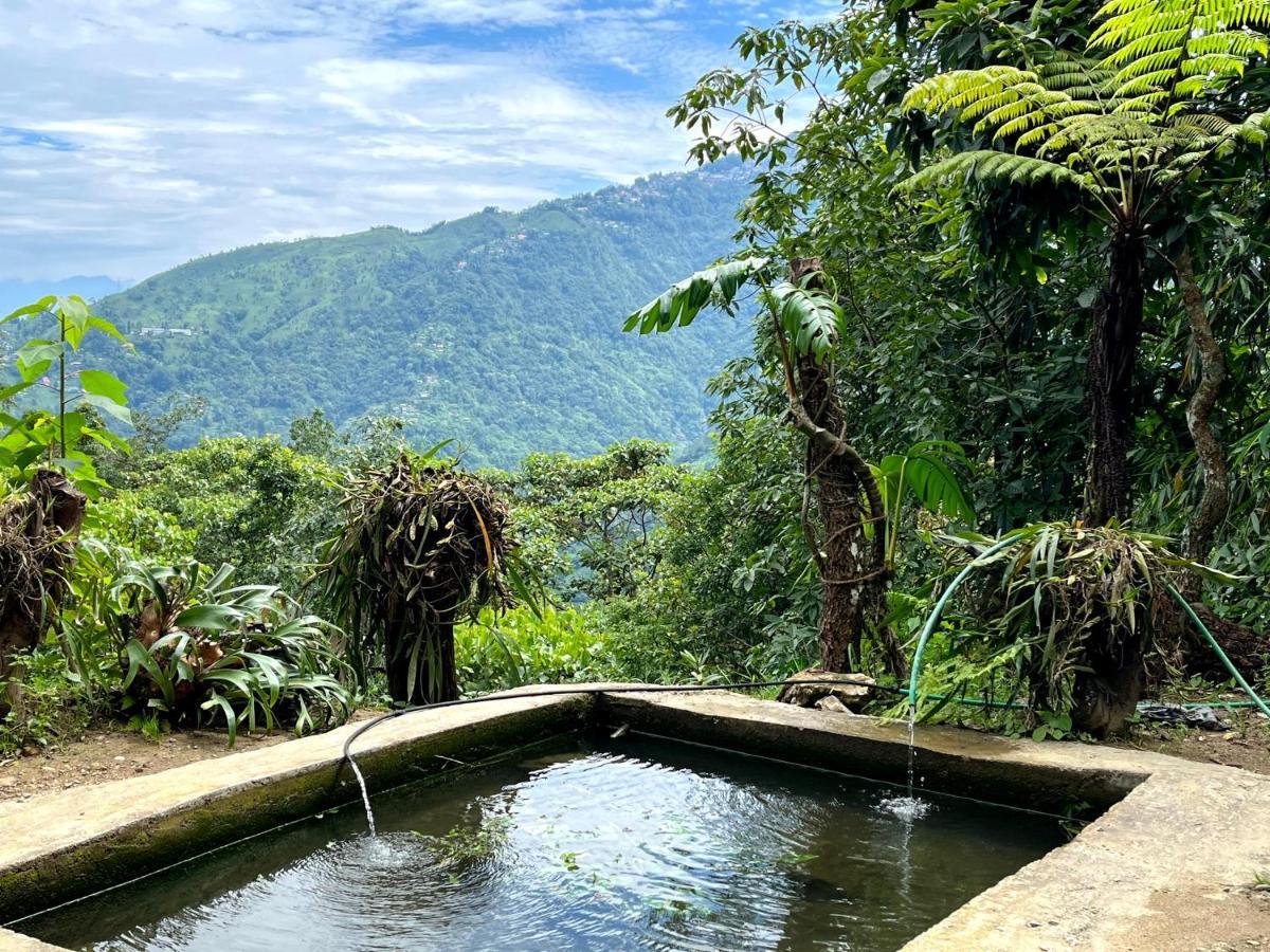 Hosanna Homestay ดาร์จีลิง ภายนอก รูปภาพ