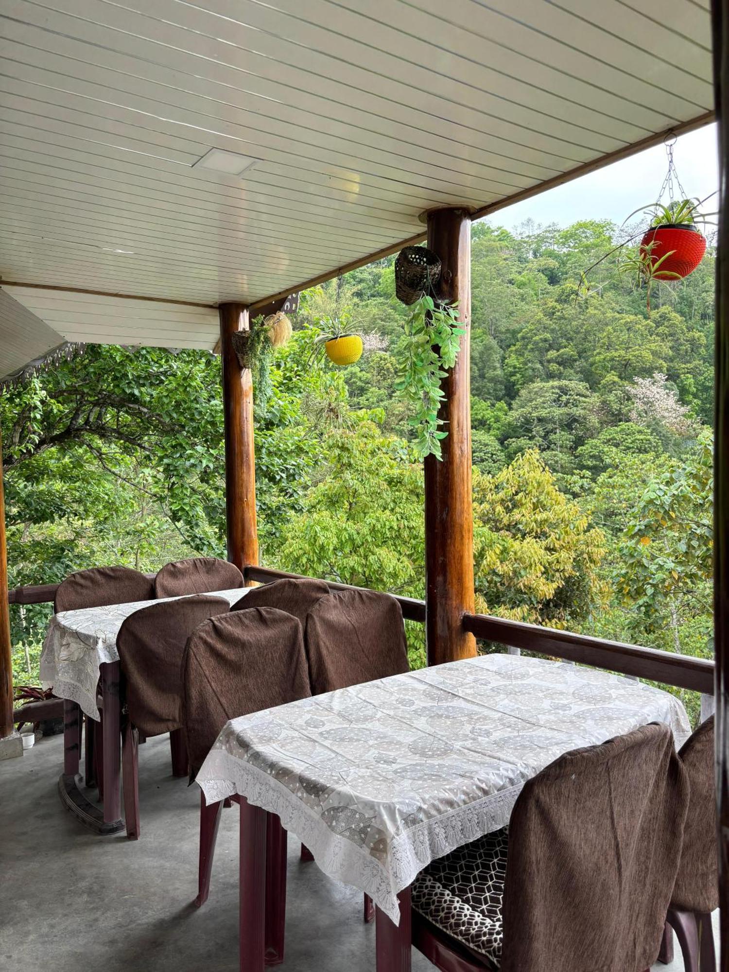 Hosanna Homestay ดาร์จีลิง ภายนอก รูปภาพ