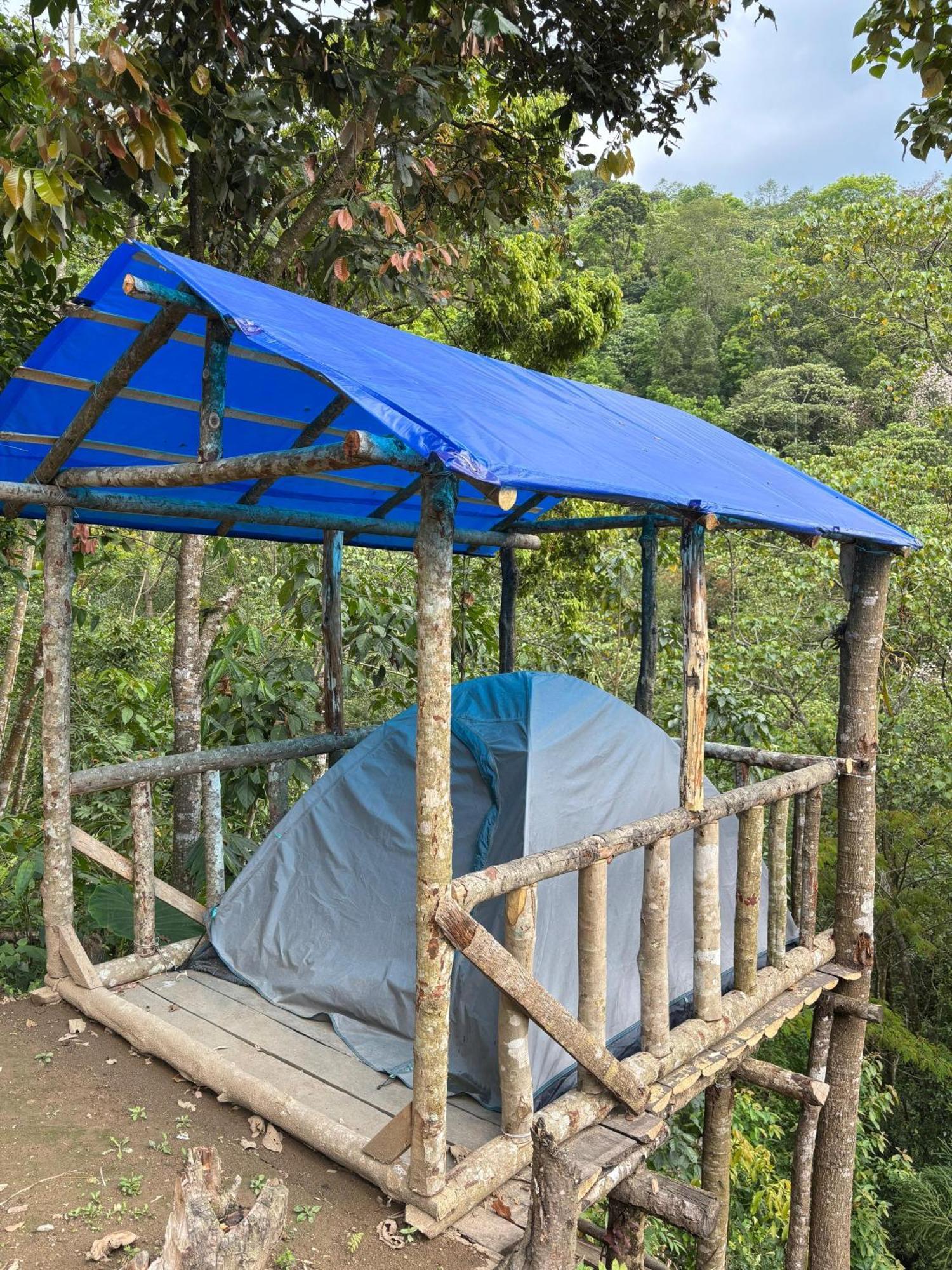 Hosanna Homestay ดาร์จีลิง ภายนอก รูปภาพ